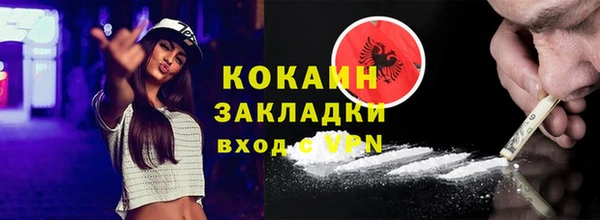 соль ск Алексин