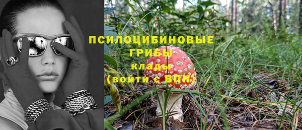 соль ск Алексин
