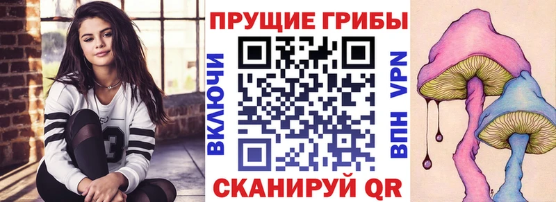Псилоцибиновые грибы Magic Shrooms  Байкальск 