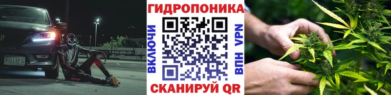 Бошки Шишки марихуана  дарнет шоп  Байкальск 
